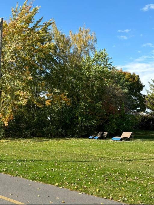 Cozy Spacious Work Friendly Lotus With Garden View High Speed Free Wi Fi And Parking Adjacent To Downtown Montreal Exterior foto